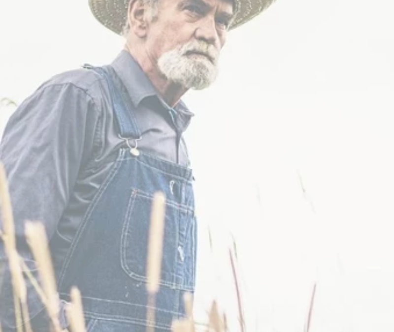 Exceções na aposentadoria por idade